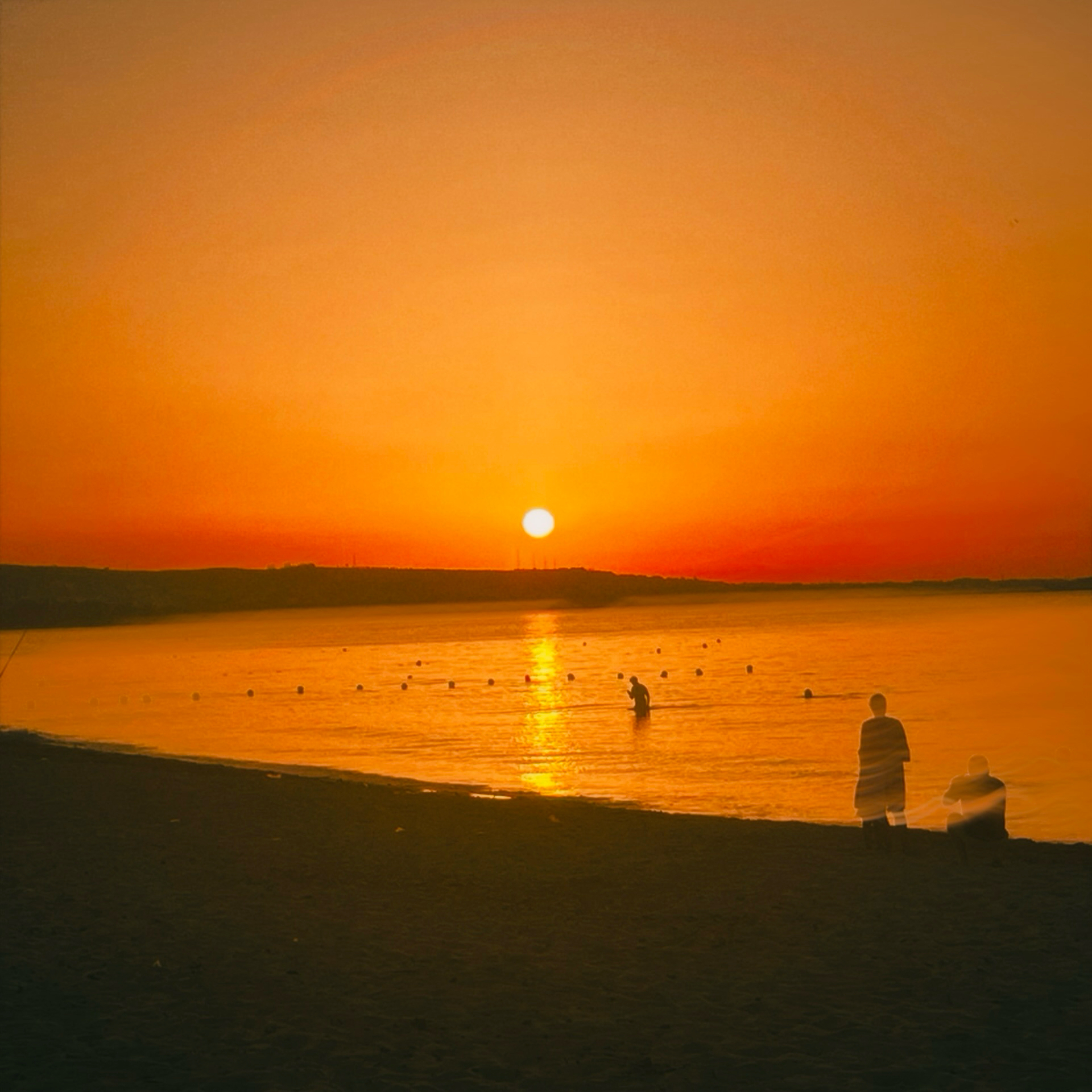 UNDER THE SUN cover